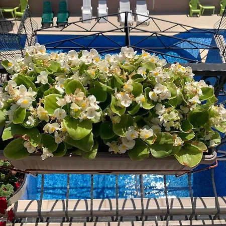 Apartmán Rozali